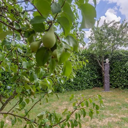 Casolare Di Campagna Con Parcheggio E Giardino Apartment